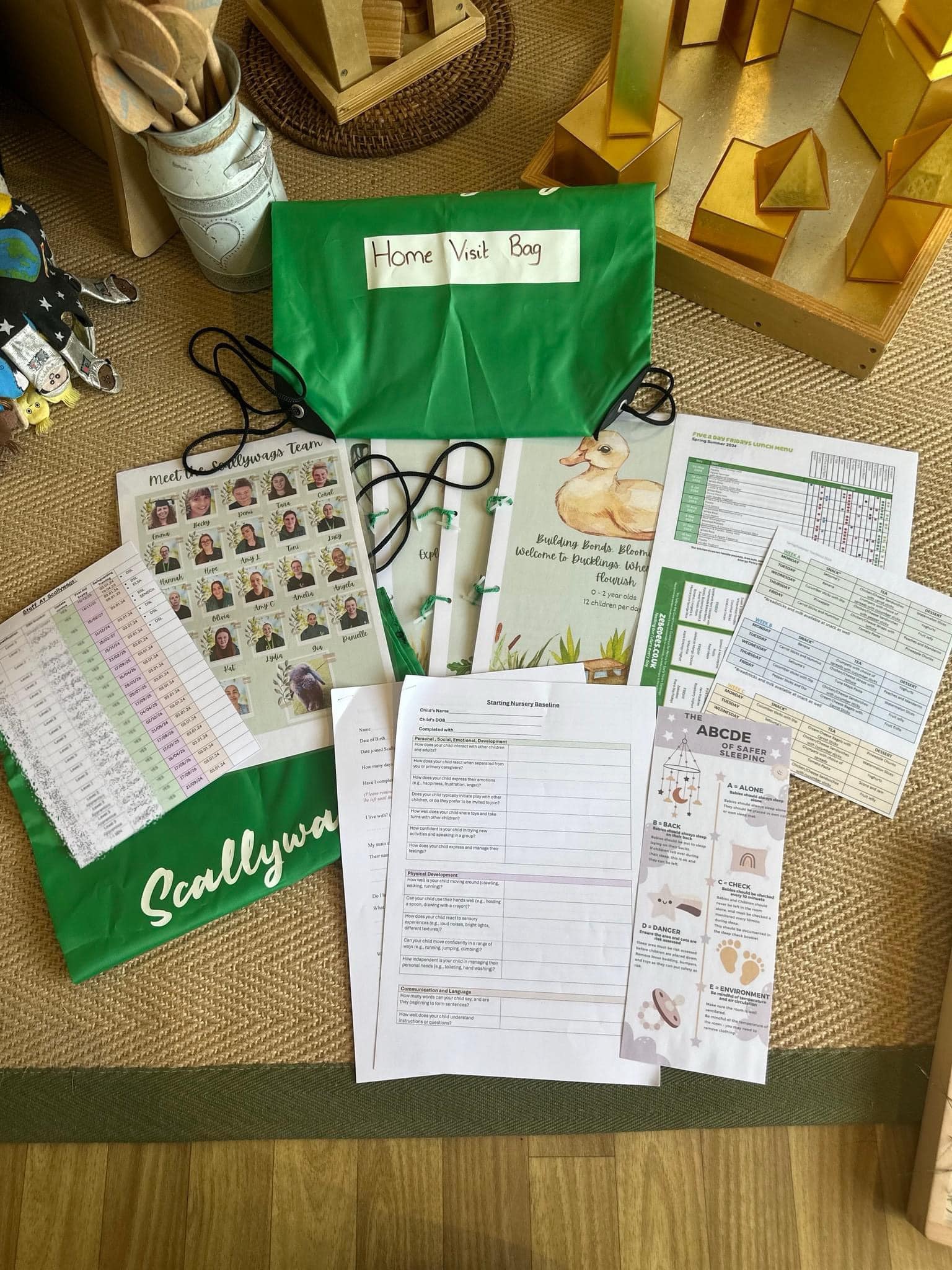 Home Visit Bag